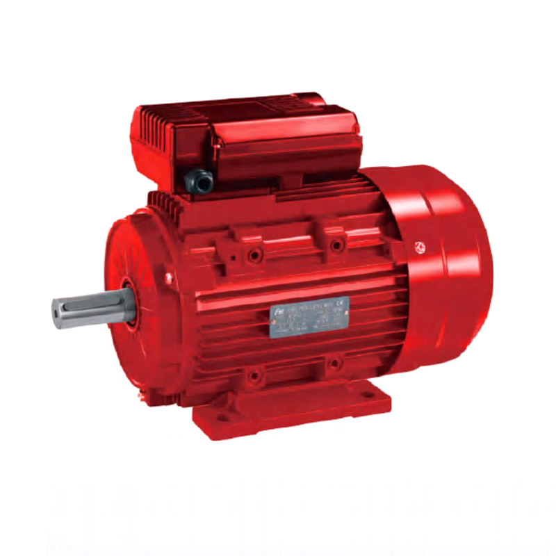 Motor de inducción de condensador de dos valores YL