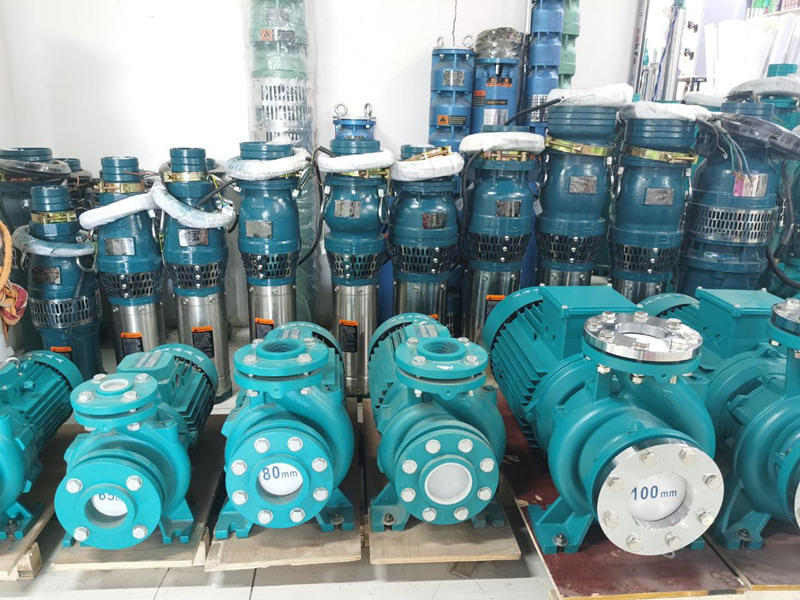 ¿Estás buscando una bomba de agua de calidad y económica?